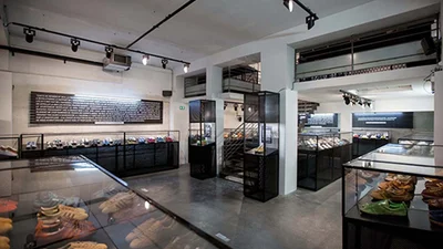 Adidas создадут музей своей обуви