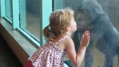 Дети в зоопарке: малышка целуется с обезьяной