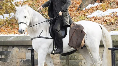 Конный спорт – новая звездная мода