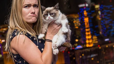 Пара на миллион: Grumpy cat и его хозяйка