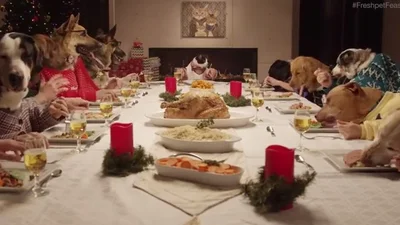 13 собак и один кот собрались за рождественским столом