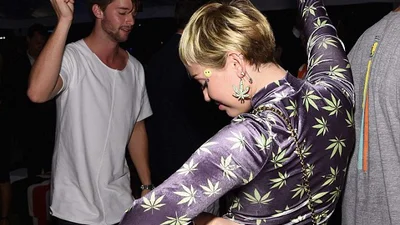 Майли Сайрус портит репутацию сыну Шварцнеггера