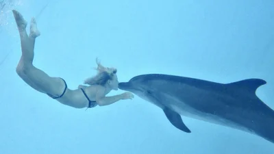 Девушка развлекает дельфинов в зоопарке