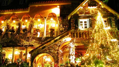 Люди создали идеальный рождественский дом