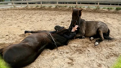 Поразительная любовь девушки и лошадей удивила всех