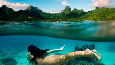 Подводное плавание: удивительные фото мира под водой и на суше