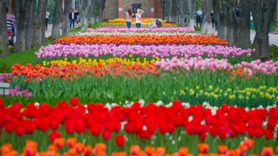 Весна в дороге: 15 интересных идей для путешествий