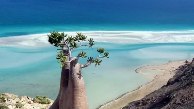 Остров Сокотра: самое необычное место на земле