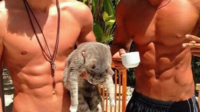 Порно смотрят мужчины с маленьким мозгом