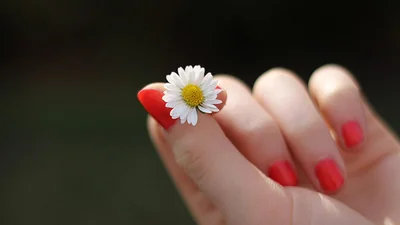 5 средств, которые укрепят ваши ногти
