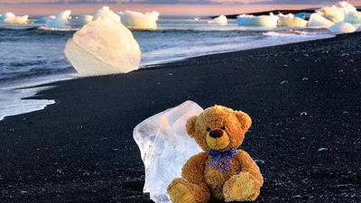 В путь-дорогу: игрушечный мишка путешествует по миру