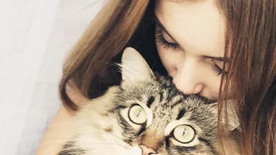 Уроки красоты, которые преподают нам коты