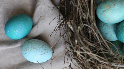 Драконье яйцо: делаем красивые крашанки на Пасху