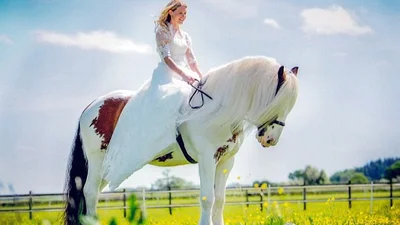 Реальная сказка: девушка приехала на белом коне под венец