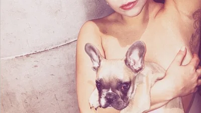 Леди Гага прикрывает голую грудь собакой