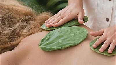 Необычное СПА: массаж кактусами