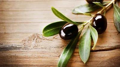 Оливкое масло: делаем идеальное лицо в домашних условиях