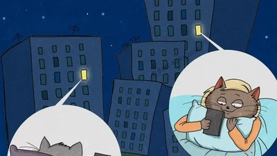 Уют и теплота: причины начать жить вместе