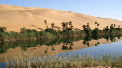 Открой мир для себя: уникальные оазисы среди пустынь