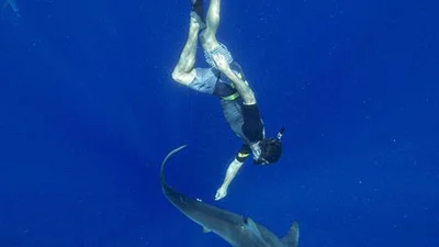Бесстрашный Зак Эфрон скупнулся с акулой