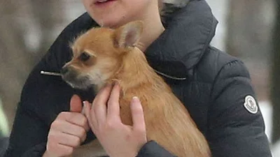 Красавица или чудовище: звезды без макияжа