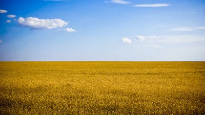 22 фото, доказывающие, что Украина прекрасна