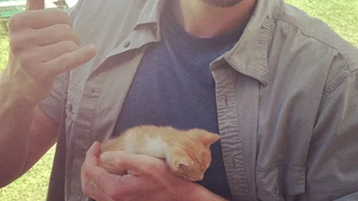 Знаменитые коты: самые привлекательные селебритиз с милыми животными