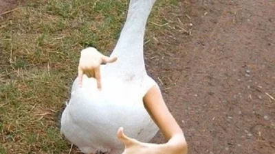 Пекельний фотошоп: найбезглуздіші фото після обробки