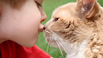 День поцелуев: самые искренние поцелуи животных и хозяев