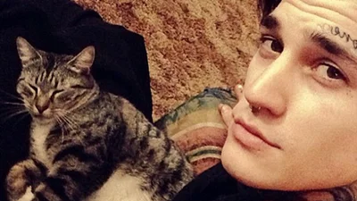 Кожна хотіла б опинитися на місці кота цих красенів