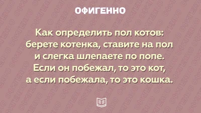 Посміятися від душі: листівки, заряджені позитивом