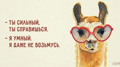 15 позитивних листівок, які змінять ваше життя