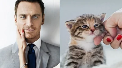 25 доказів, що коти позують не гірше за моделей