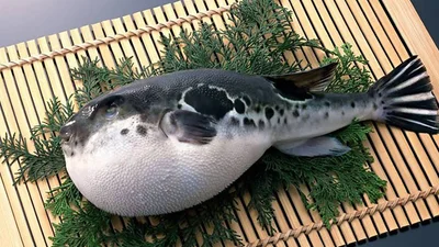 Продукти харчування, оголошені у США поза законом