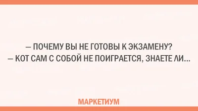 Без кота і життя не те: листівки про наших улюблених пухнастиків