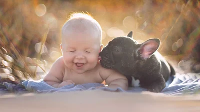 Милость дня: ребенок и щенок все делают вместе