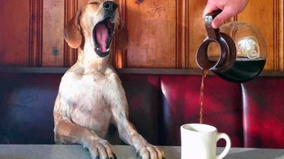 40 мыслей, которые лезут в голову во время бессонницы