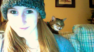 Коти, які поводяться, як серійні вбивці