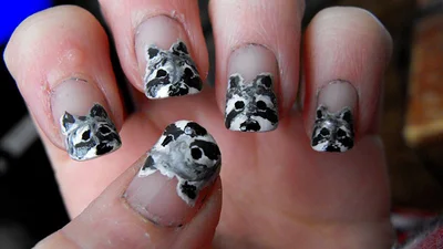 Мимишность зашкаливает: идеи маникюра с енотами