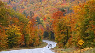 Полюбить осень: фото, на которых осень фантастически прекрасна