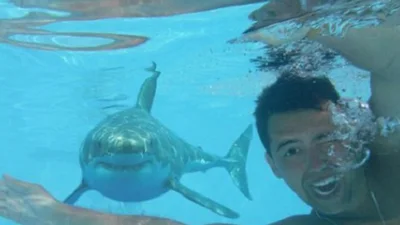 Божевільні на відпочинку: добірка дивних літніх фотографій