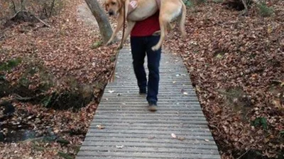 Моменти, зрозумілі тільки власникам собак