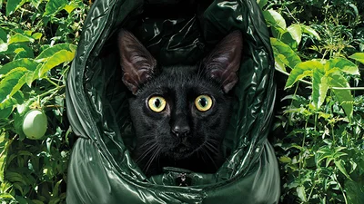 Самая неожиданная реклама пуховиков