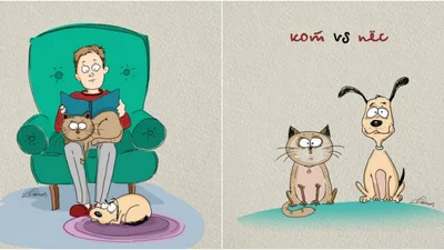 Разница между котами и собаками в картинках