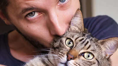 15 причин влюбиться в любителя кошек