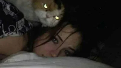 Стремні коти, від яких хочеться бігти