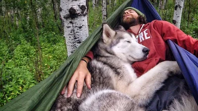 Найкращі друзі: барвисте життя собаки та його господаря