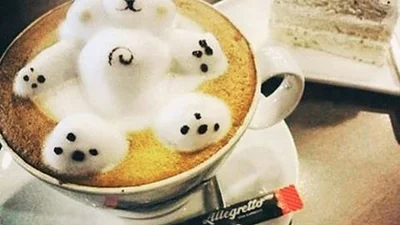 Кава з візерунками тварин, яку просто шкода пити