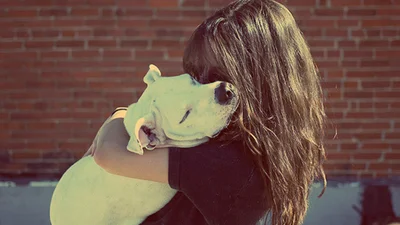 Собачки, які обожнюють обіймашки