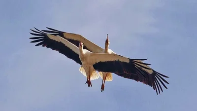24 фото, зроблені дуже вчасно